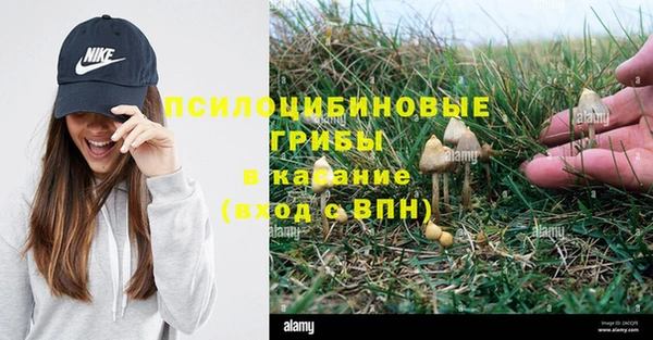 прущие крисы Алексин