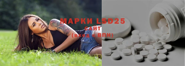 a pvp Алзамай
