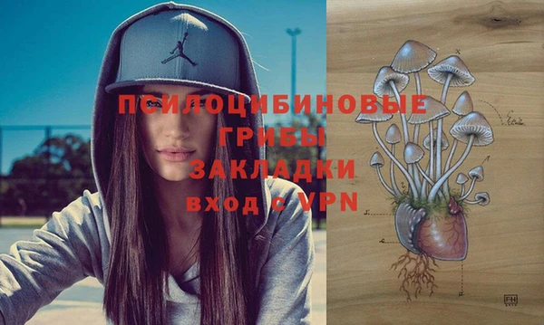 МДПВ Алексеевка