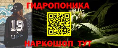 spice Кунгур