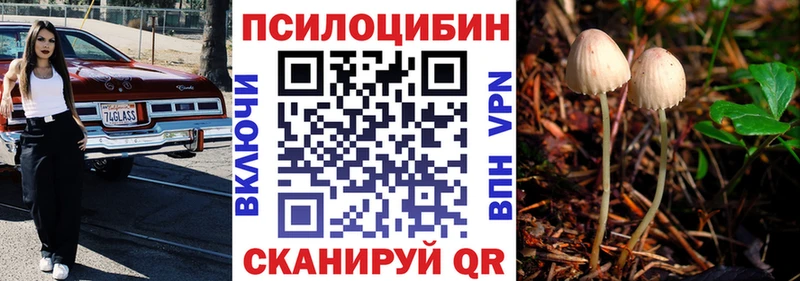 Галлюциногенные грибы прущие грибы  сайты даркнета клад  Киров  где можно купить  