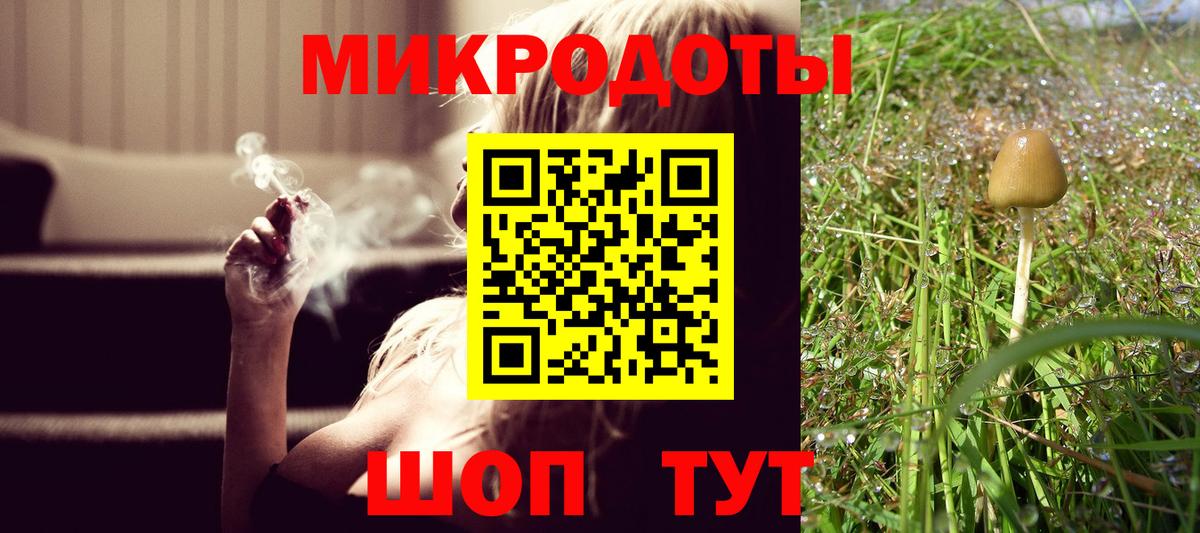 Псилоцибиновые грибы Psilocybe  Вход с VPN  Псилоцибиновые грибы Psilocybe  Киров 